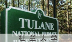 2020免联考在职研究生学费和院校查询