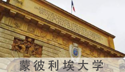 蒙彼利埃大学相当于国内什么学校大学高校？