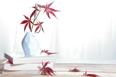 报考北京大学高级研修班对年龄有什么要求？