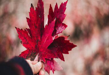 北京大学研修班现在还招生吗？