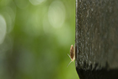 深圳大学深商创新高级研修班的项目优势有哪些呢？