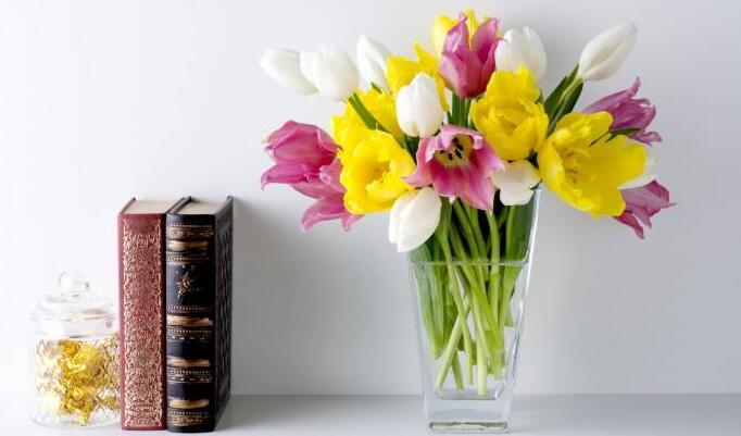 报考深圳大学研修班难度大吗？