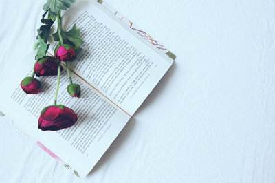 2019年深圳大学研修班都有哪些报考途径？