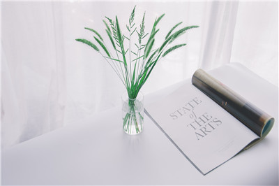 在职人员报考深圳大学有哪些优势？