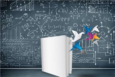 荷兰商学院开设的在职研课程有要求工作经验吗？