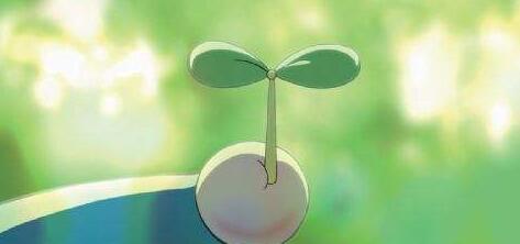 中央财经大学董事长研修班有哪些优势？