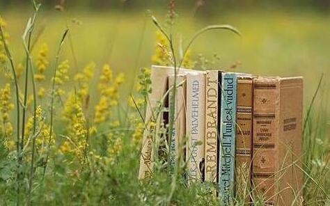 上海交大学经理人创新管理项目有哪些特色？