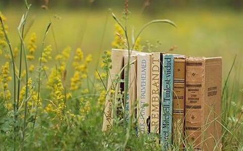 1+1硕士国际预科课程为什么要选择上海外国语大学？