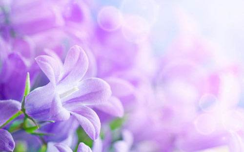 北大PPP实战研修班适合哪些人报考？