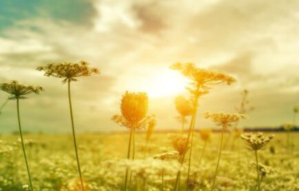 尚美女子学院给人什么样的体验？