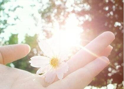 报考在职博士中途可以退学退费用吗？