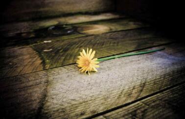 武汉大学企业总裁班课程背景是什么？