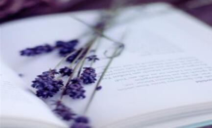 报考武大企业总裁班有什么价值？