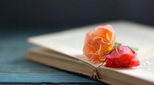 学员报考深圳大学企业投资家高端研修班能获得什么？