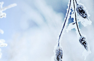 社科院国民经济学专业高级课程班适合哪些人报考？