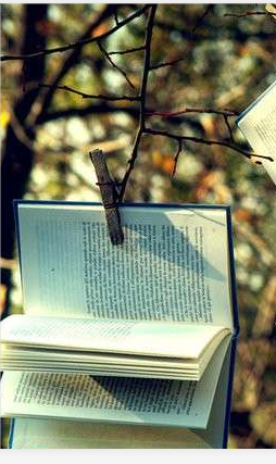 报考清大高级工商管理（EMBA）总裁研修班条件和流程有哪些？