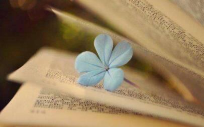 同济大学工商管理班招生对象是什么？