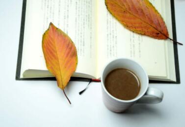 报考同济大学高级工商管理班有什么收获？