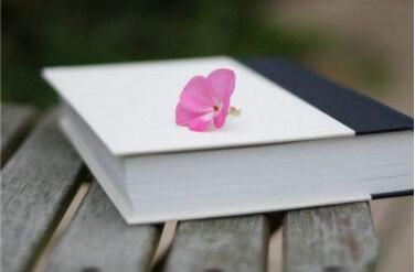 报考上海交通大学高级研修班需要满足什么条件？