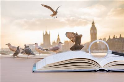 上海交通大学在职研究生允许外地人员报考吗？