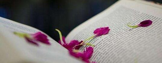 经济与管理学院商业模式与战略创新班适合哪些学员报考？