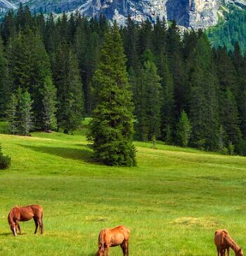 北京市成人学历助学中心怎么样，靠谱吗?