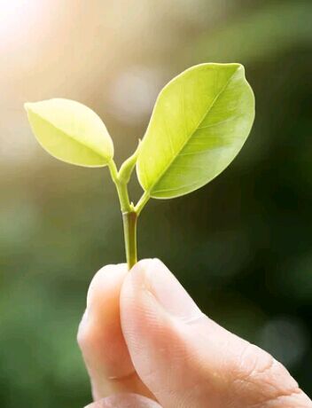 高考200多分能上什么学校？