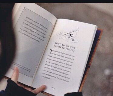 东北大学网络教育停办是真的吗?