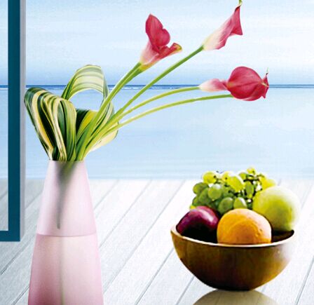 不用考试拿大专学历的机构靠谱吗?