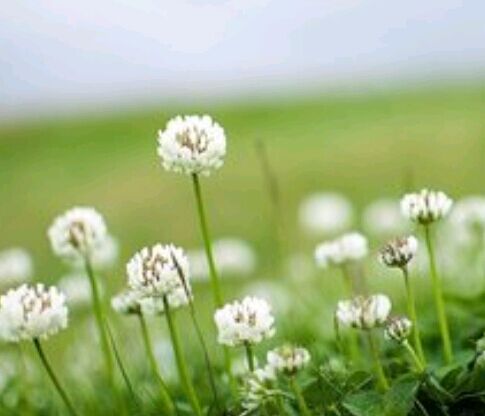 自考作弊有什么后果？