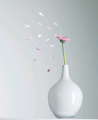 北京理工大学荣获北京自考一等奖