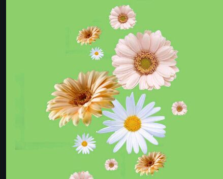 初中毕业十年后还能提升学历吗？