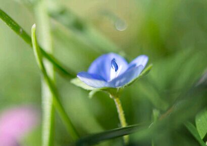 北京有哪些学校可以上夜校提升学历?