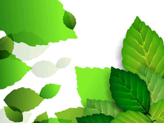 怎么不耽误工作专升本？