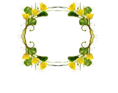 电大护理专升本考试科目有哪些？