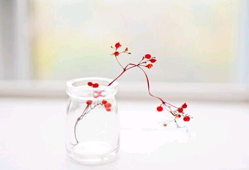 深圳大学主考的自考本科专业有哪些呢?