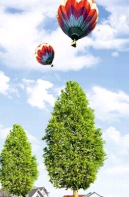 自考专升本保过靠谱吗?