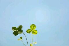 保过班靠谱吗?保过班和包过班的区别？