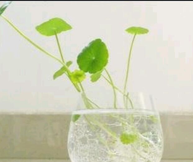 上班族自考本科学费多少钱？