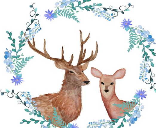 中国地质大学网络教育毕业证什么样?有用吗?