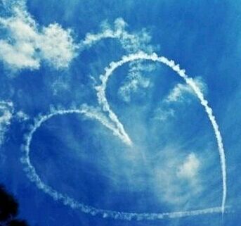 网络教育是一个什么样的学历?