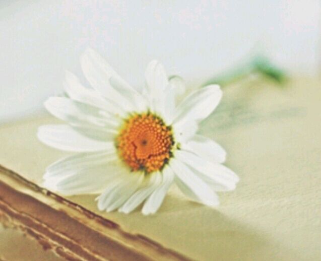 华中师范大学自考大专怎么报名?