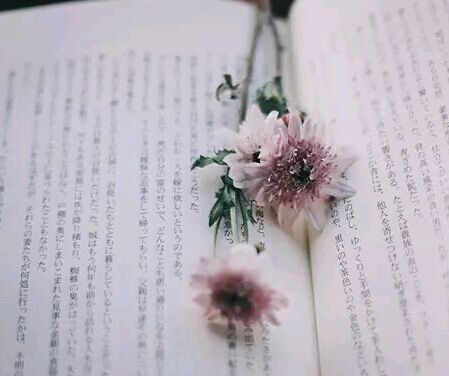 第二学位最快多长时间可以考完呢？