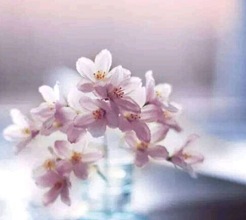 自考成绩的有效期是多久？