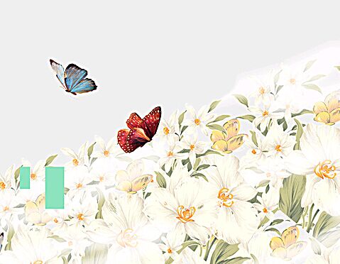 什么是自学考试专业的主考学校？