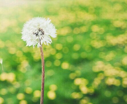 新生必读：自考专业选择的三大考量。