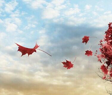 我们为什么要选择自考本科呢？