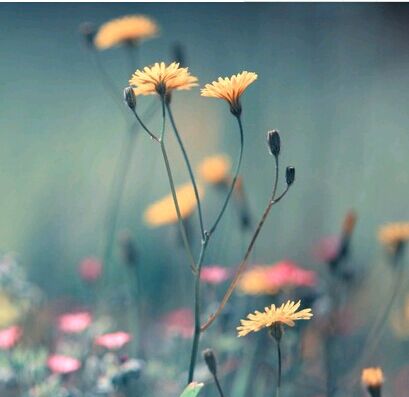 四川文理学院成人高考录取分数线是多少，好考吗?