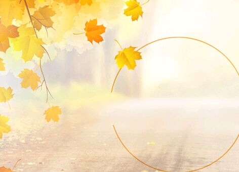 北京自考英语本科都考哪些科目?