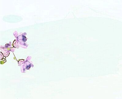 自考本科文凭有用吗?全面解读自考本科。